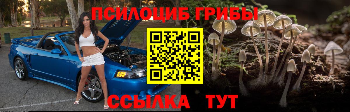 Алапаевск  Псилоцибиновые грибы ЛСД  Вход с VPN  Псилоцибиновые грибы Magic Shrooms 